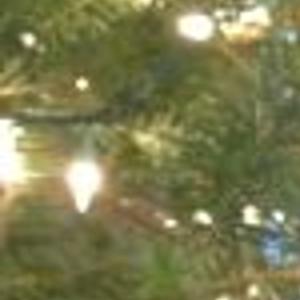 The Behemoth Lakefront Holiday Spiced Lager Madison Com