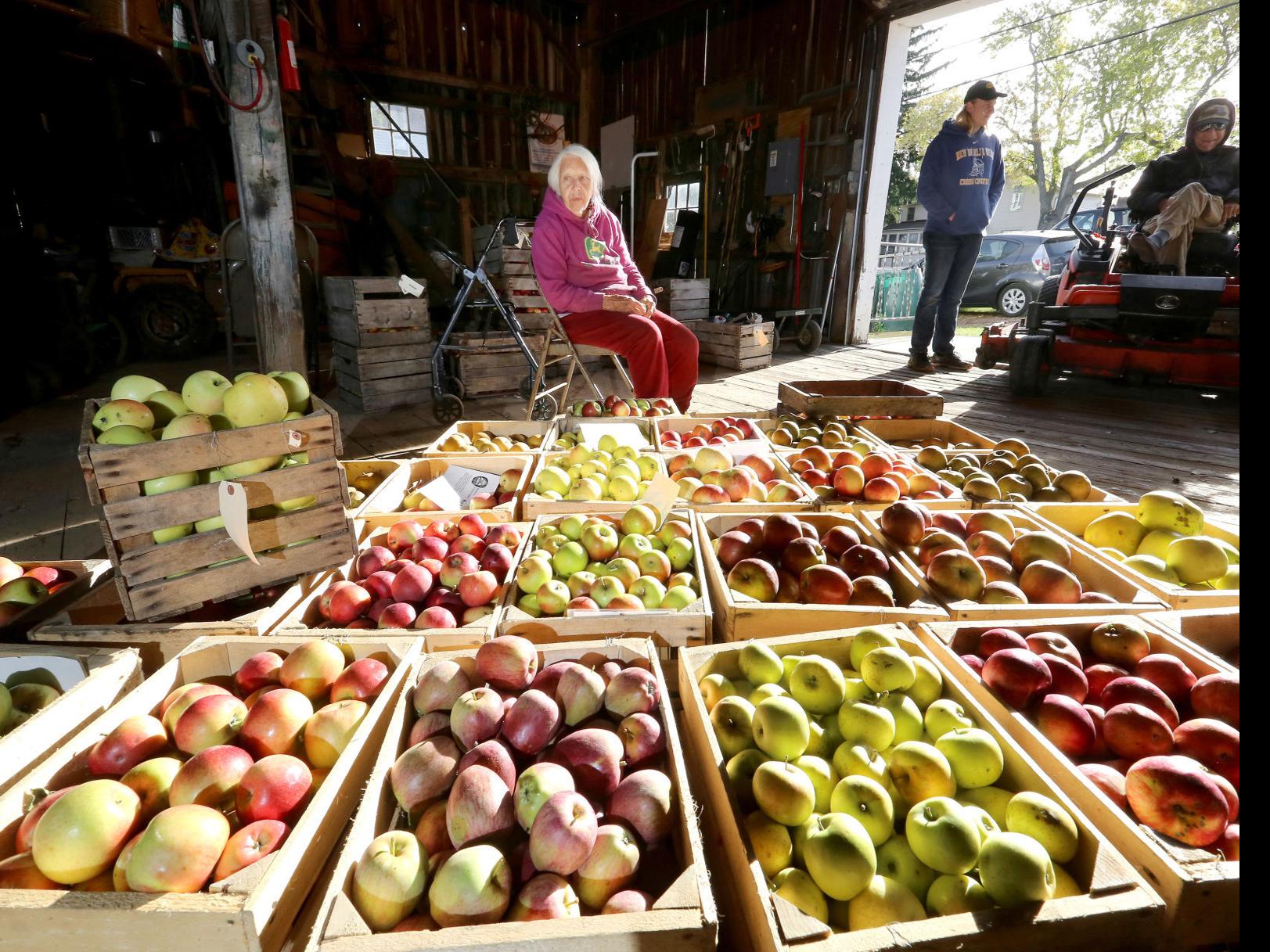 Weston S Antique Apple Orchards Is Where History Grows On Trees Local News Madison Com