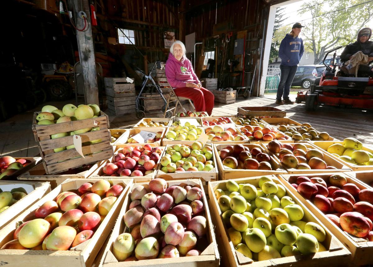 Weston's Antique Apple Orchards is where history grows on trees