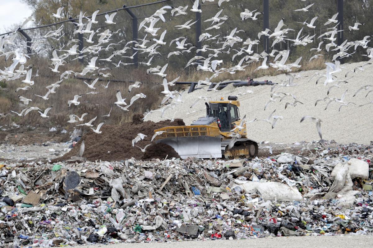 Dane County Landfill To Stop Taking Leaves And Other Yard Waste