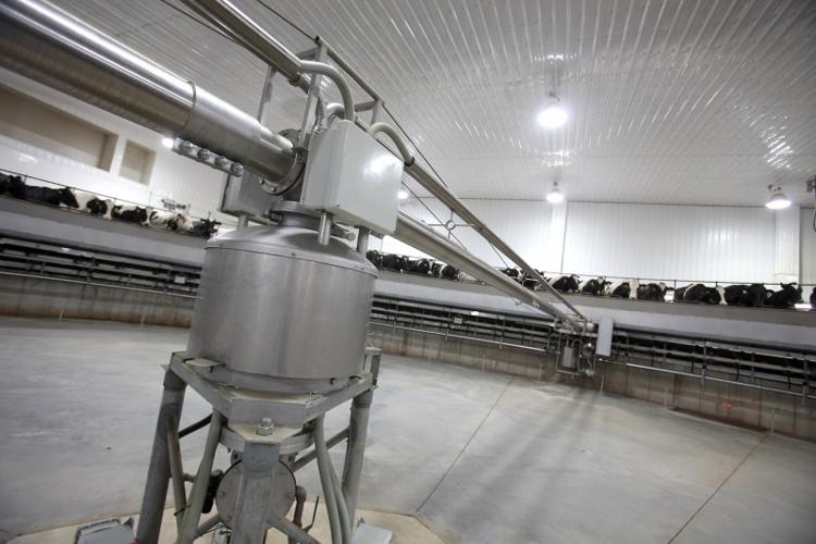 factory farm (Day 1) No. 10