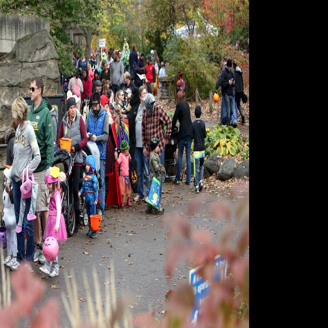 Monona Grove School District To Bar Halloween Costumes Parades At