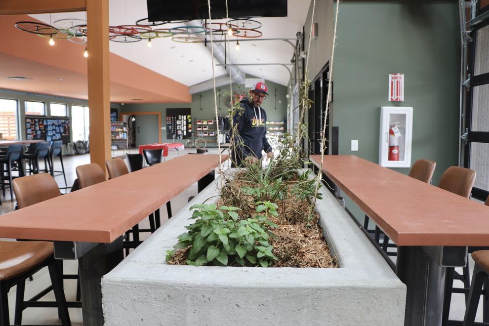 Oregon Village Welcomes Unique Businesses: Brewery, Bike Shop, Tattoo Studio, and More 3 Bodihow Brewing Company has an herb garden at the business that it uses for its brews.EMILIE HEIDEMANN, STATE JOURNAL