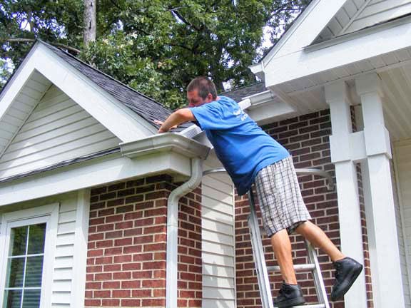 Gutter Cleaning.jpg