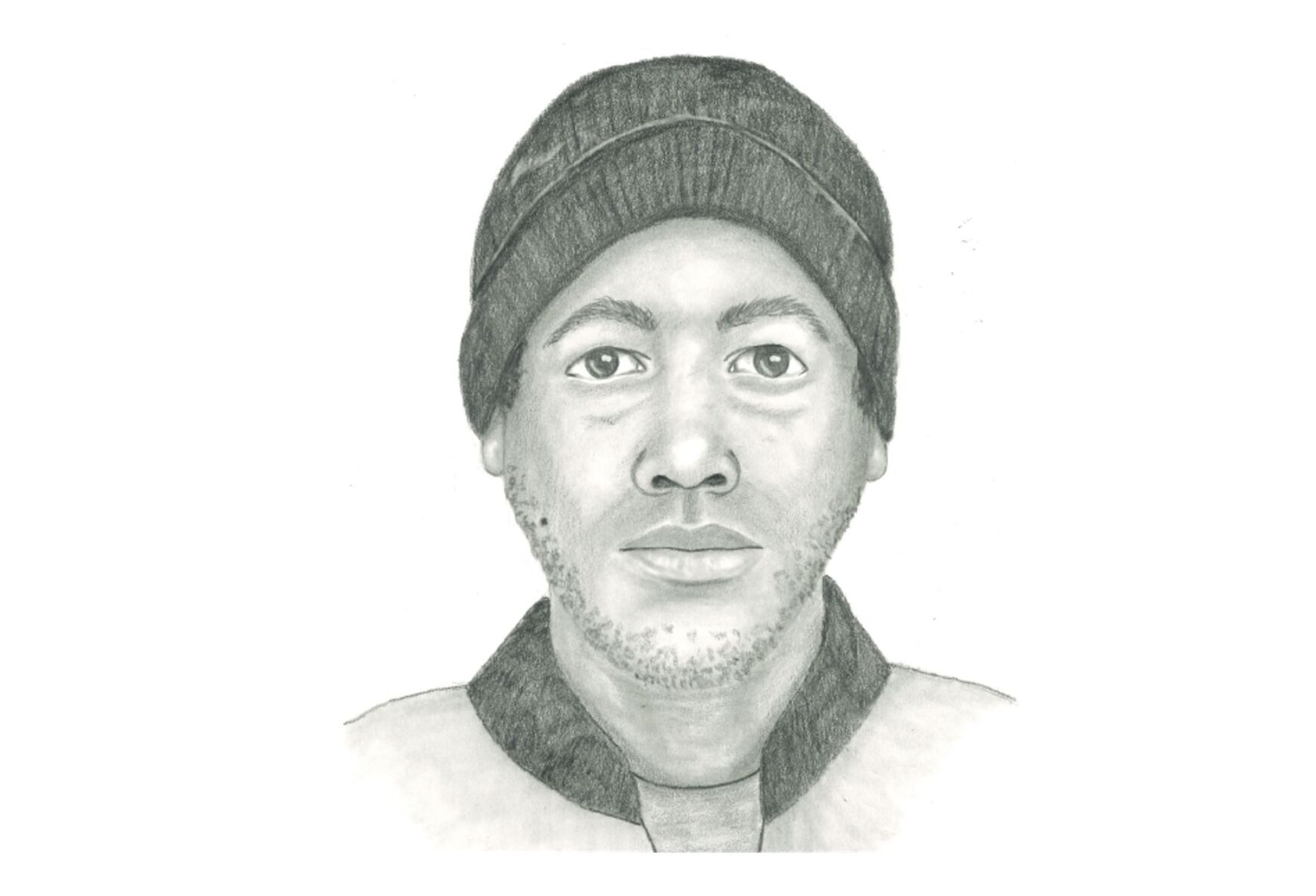 Madison police release sketch of suspect in Far East Side attack, sex assault of woman