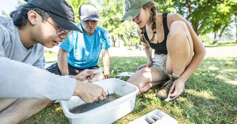 Testing the waters: Conservation students learn by doing