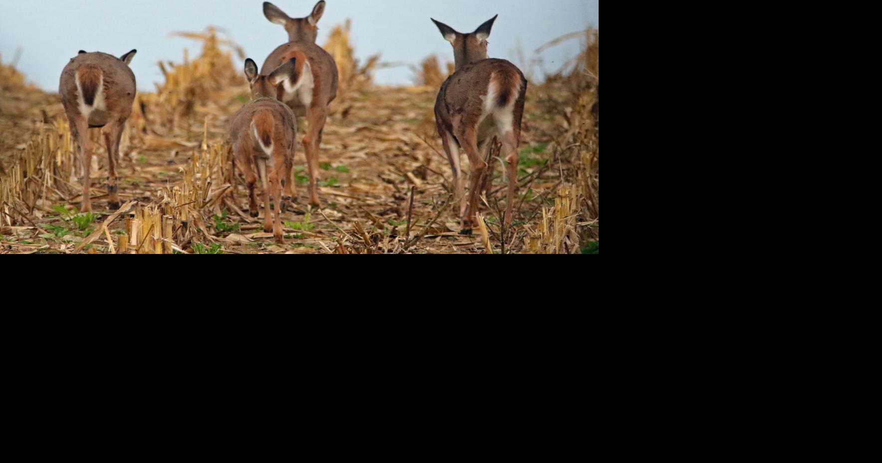 Hunter sightin starts Saturday at Dane County shooting range