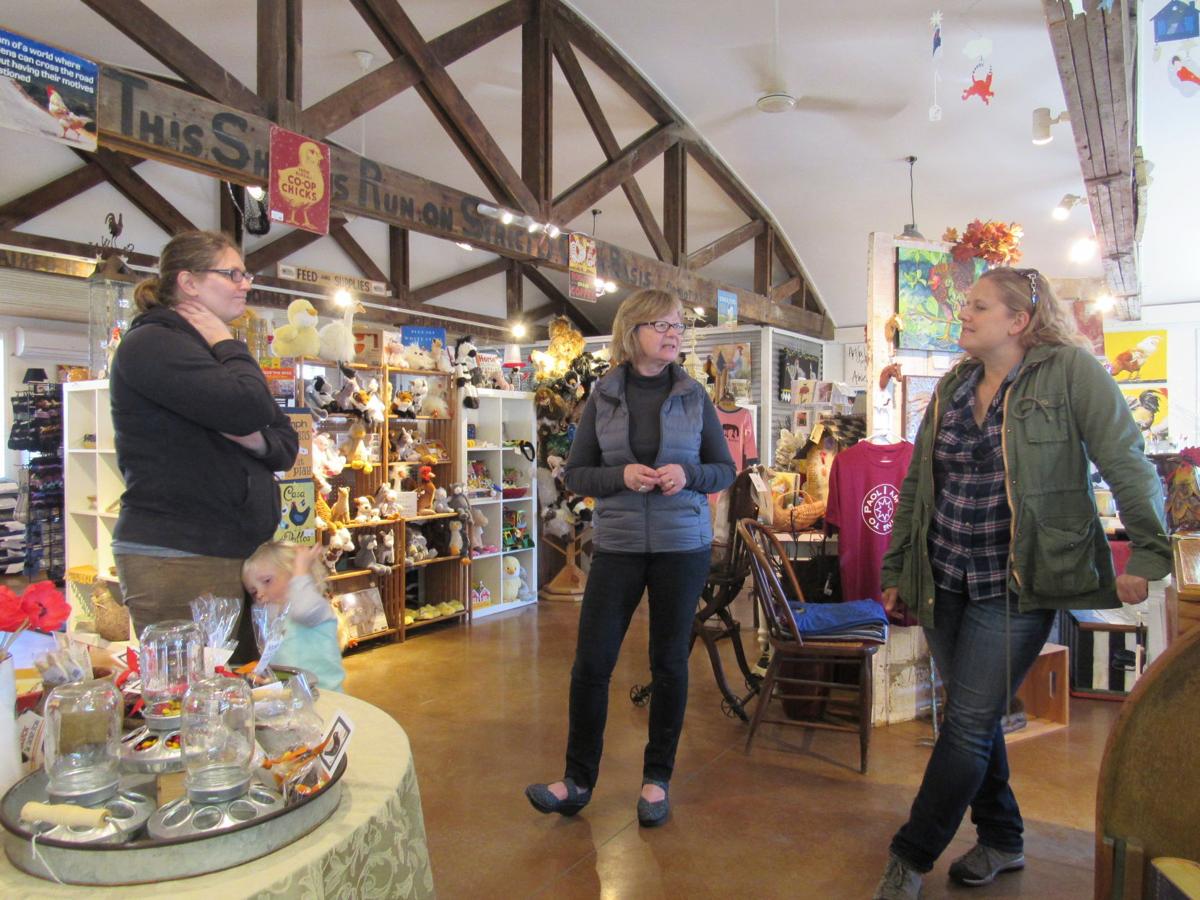 Cheese returns to Paoli as hamlet continues to thrive