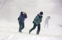 Traversing Park Street, Feb. 6, 2008