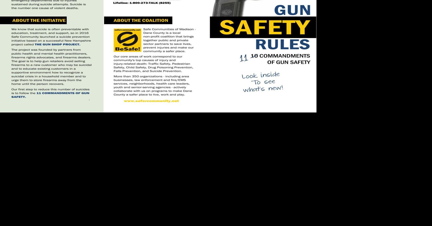 Educators for Gun Safety / Homepage