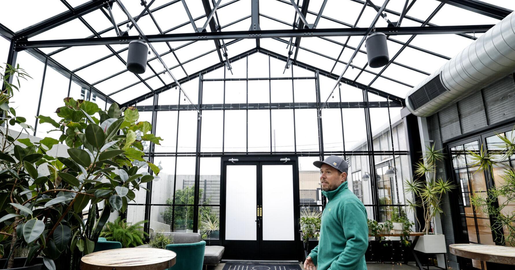 Jordan Hosking provides a canvass with greenhouses - Vimarsana News