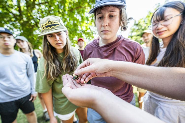 Testing the waters: Conservation students learn by doing