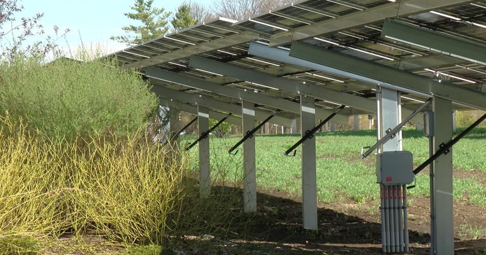 Madison College hosts ribbon cutting for solar array and energy storage system