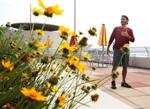 Know Your Madisonian: Bringing 'wild' beauty to Monona Terrace's rooftop gardens