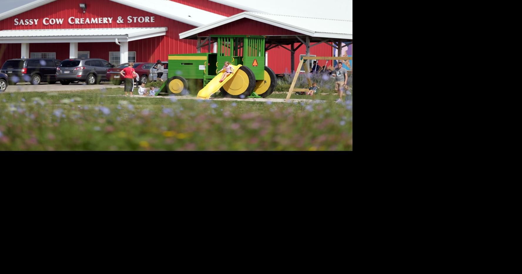 Treat yourself to a free dairy tour at Sassy Cow