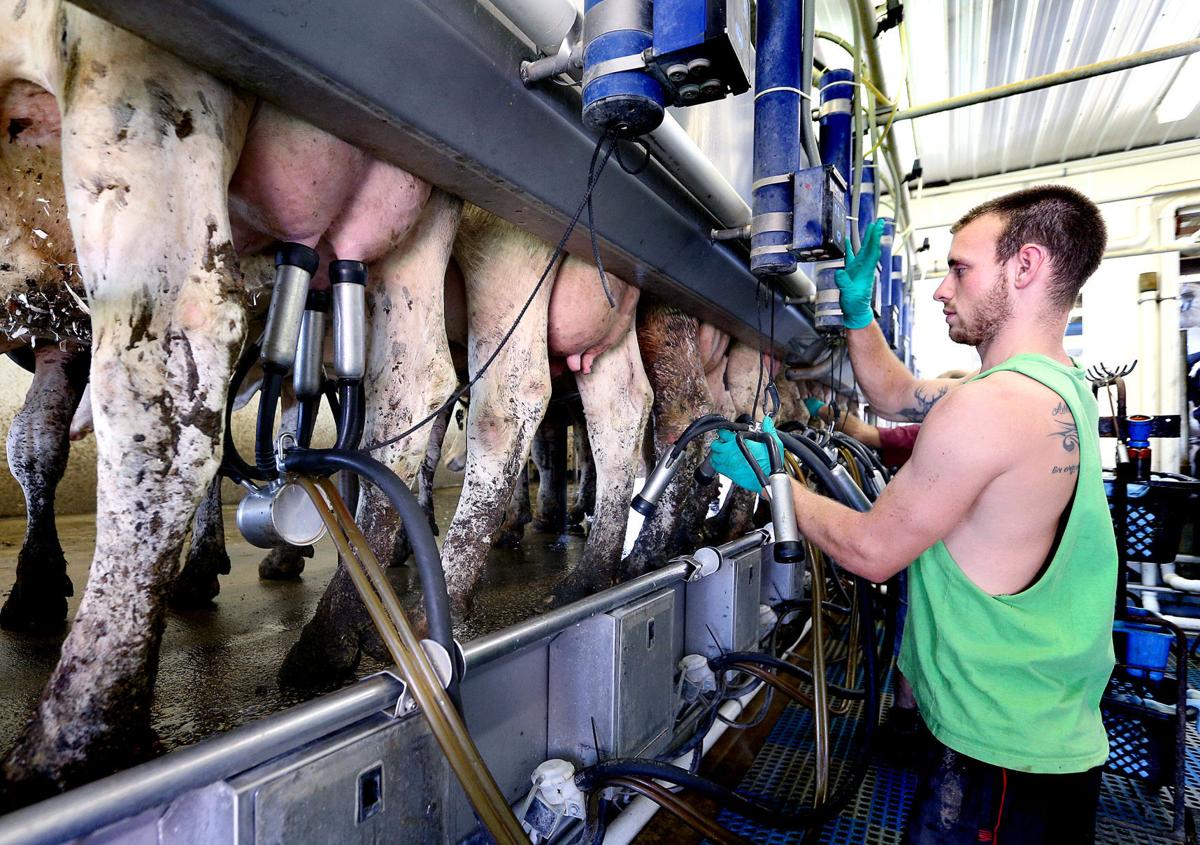 Dairy trade