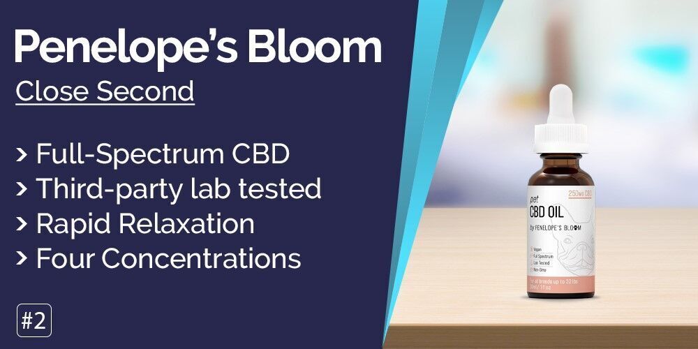 Originated Media_Best CBD oil for dogs_img2.jpg