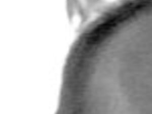 Youngs Wallace Wally Madison Obituaries Madison Com