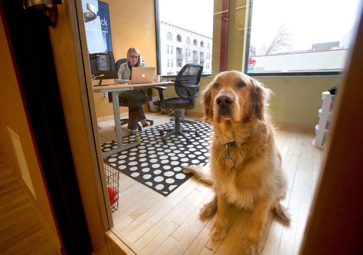 Abodo Plays Games In Former Cool Workspace Of The Onion Microsoft Entertainment Madison Com