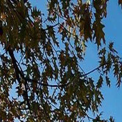 Across Uw System Campuses Reduce Courses Advising And Jobs As Budget Cuts Take Hold Higher Education Madison Com