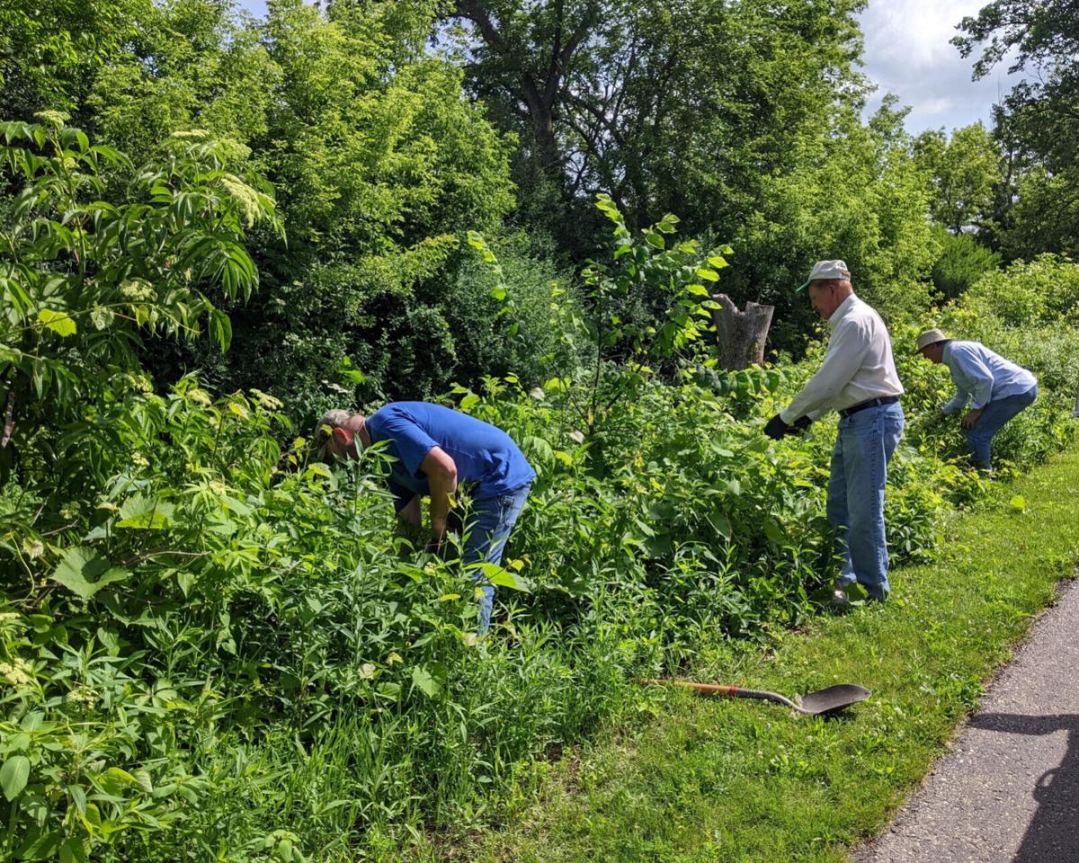 Take Action On Invasive Species This June