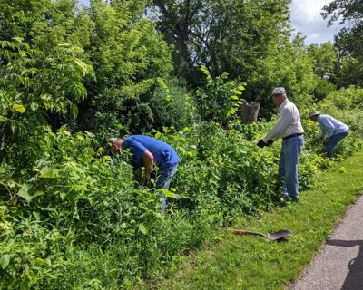 Take Action On Invasive Species This June
