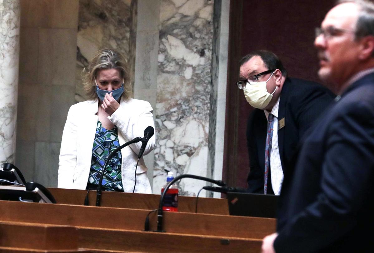 Wisconsin Legislature masks (copy)