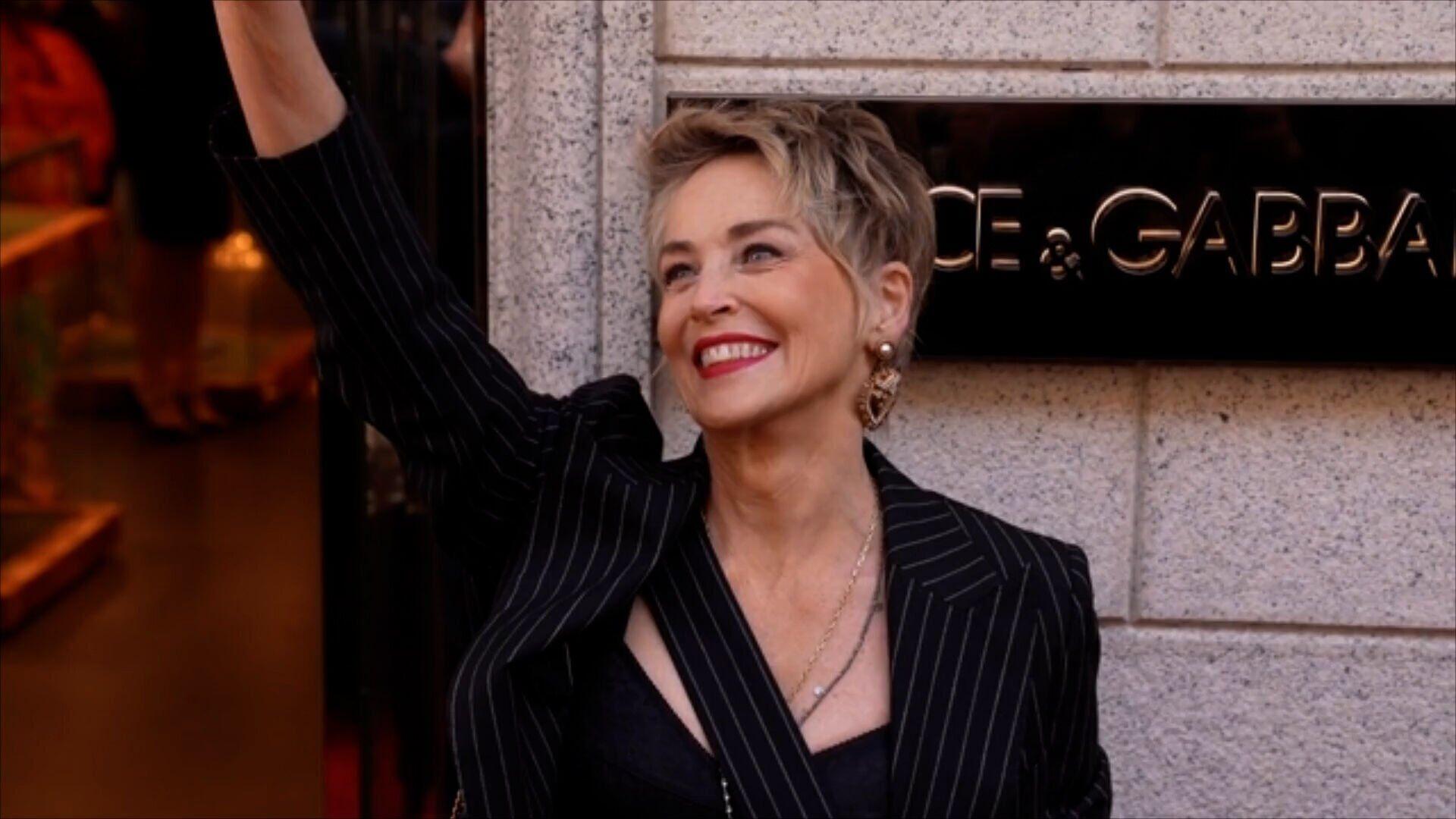 DC's Blue Beetle Movie: Sharon Stone In Talks For Villain Role