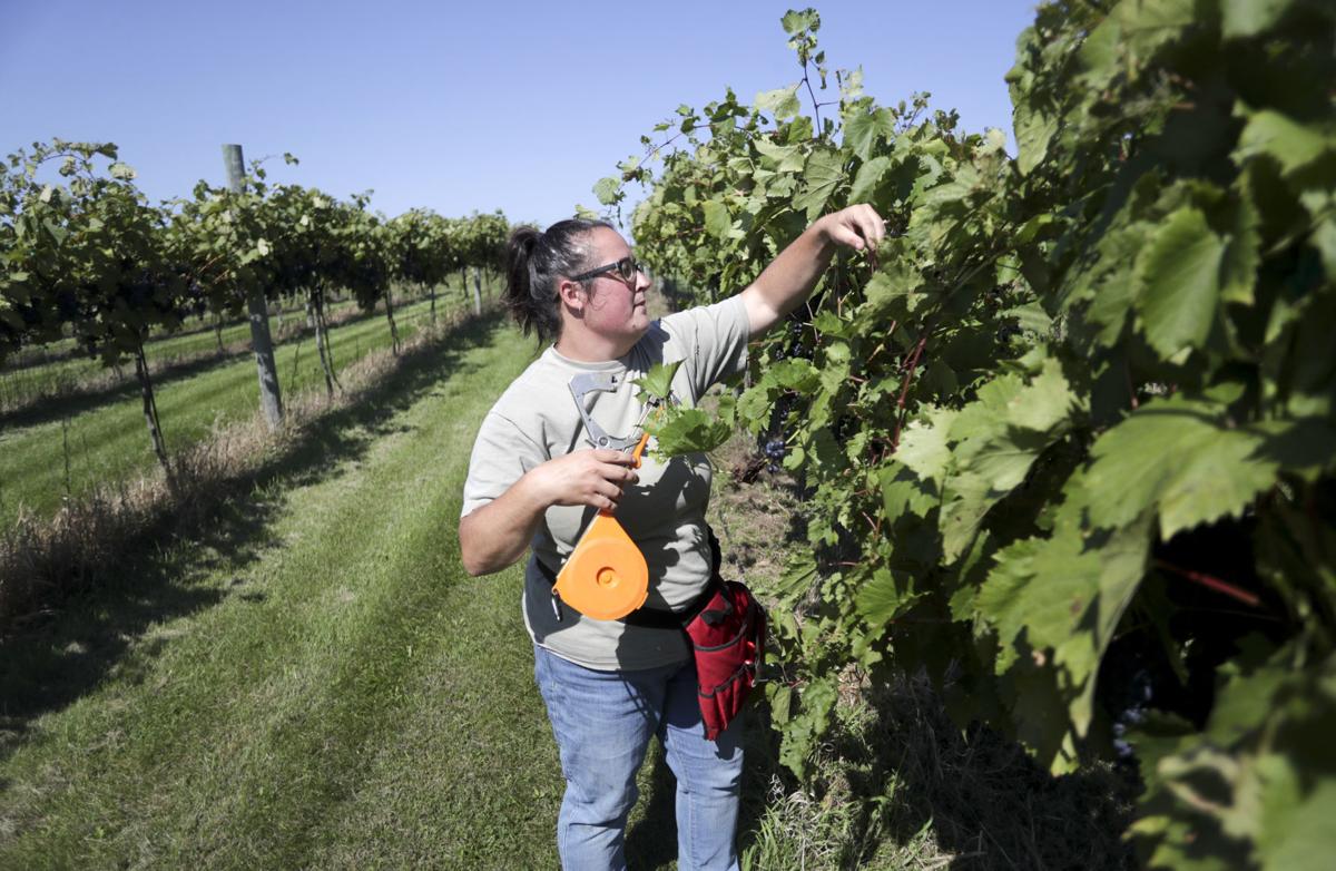 Poynette Winery On A Special Mission After Avoiding Catastrophe Business News Madison Com