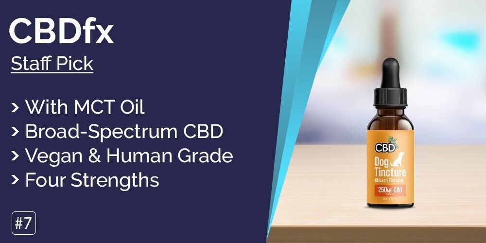 Originated Media_Best CBD oil for dogs_img7.jpg