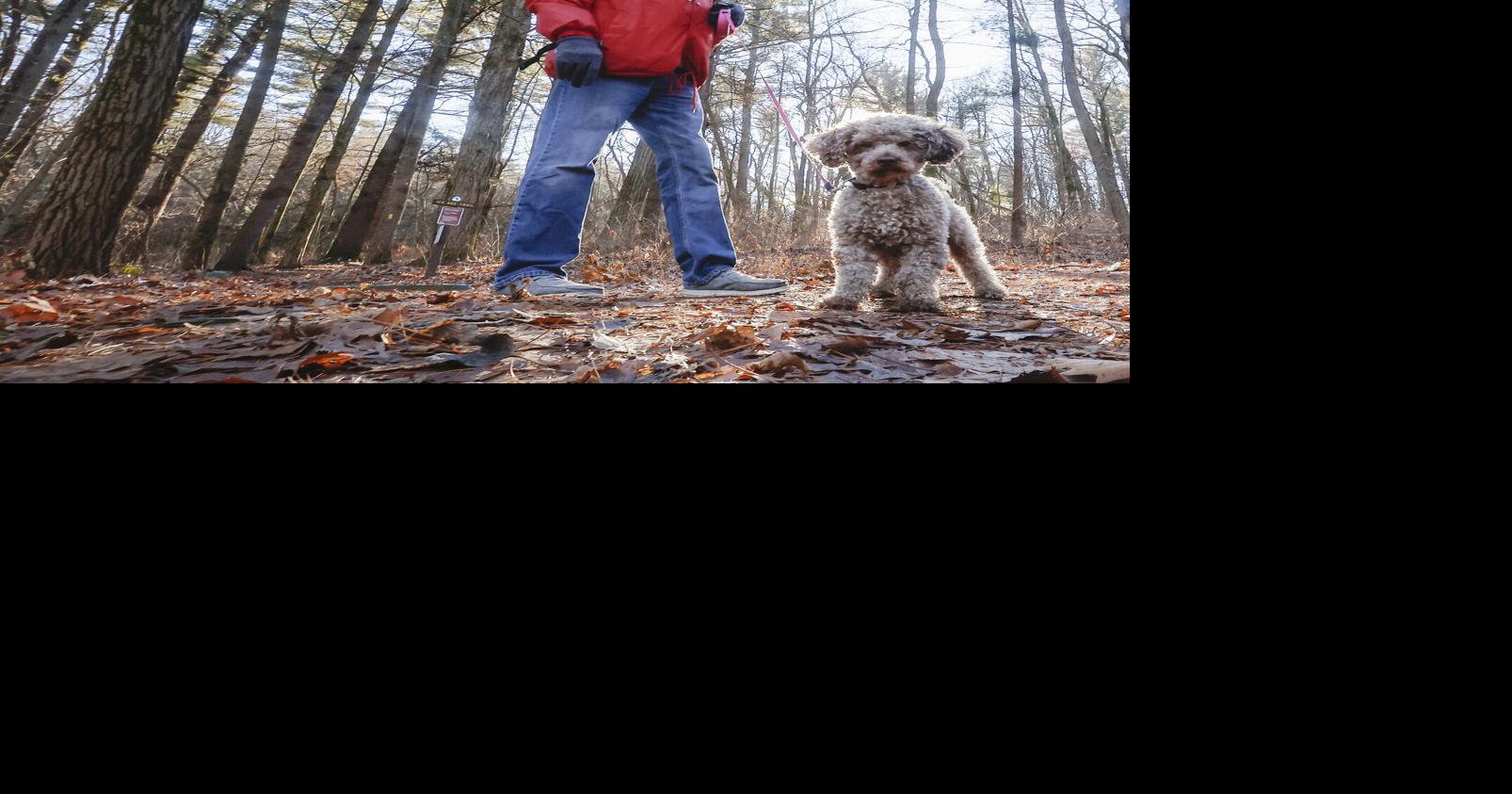 Scott and Buster