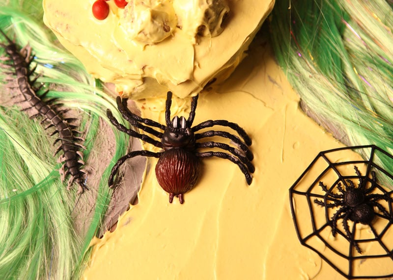 Chocolate spider web cake | Sainsbury`s Magazine