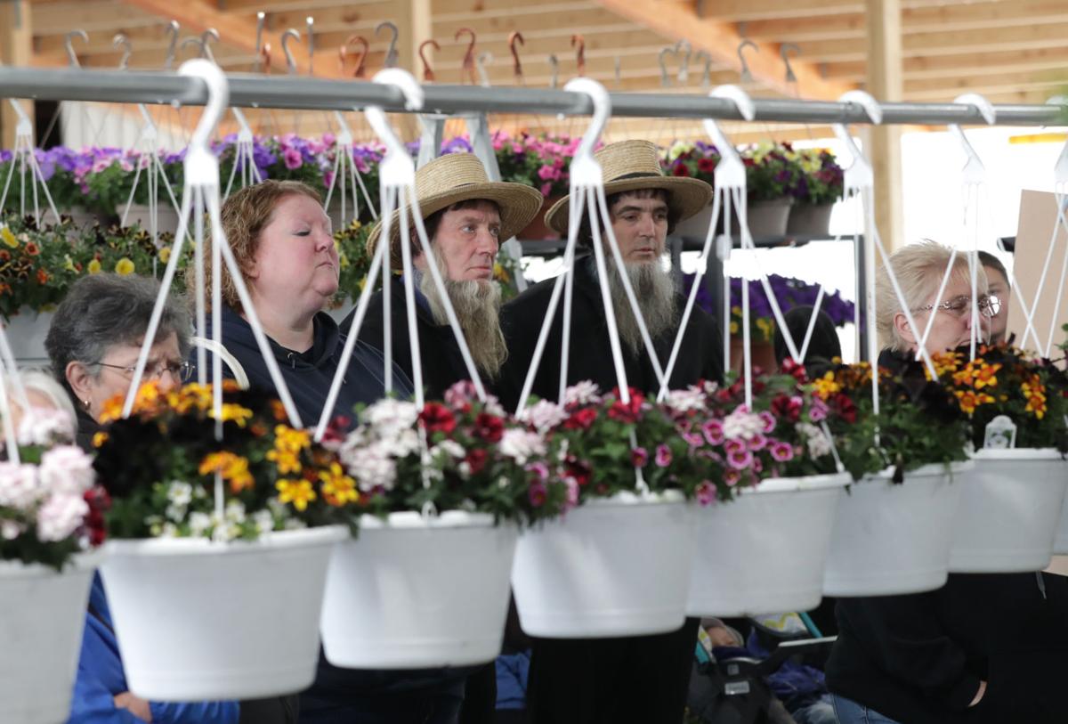 Amish Flower Auction Riceville Iowa Best Flower Site