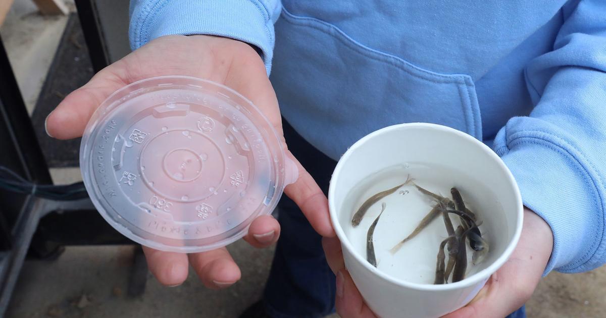 Governor's Fishing Opener casts off with good conditions near Hayward