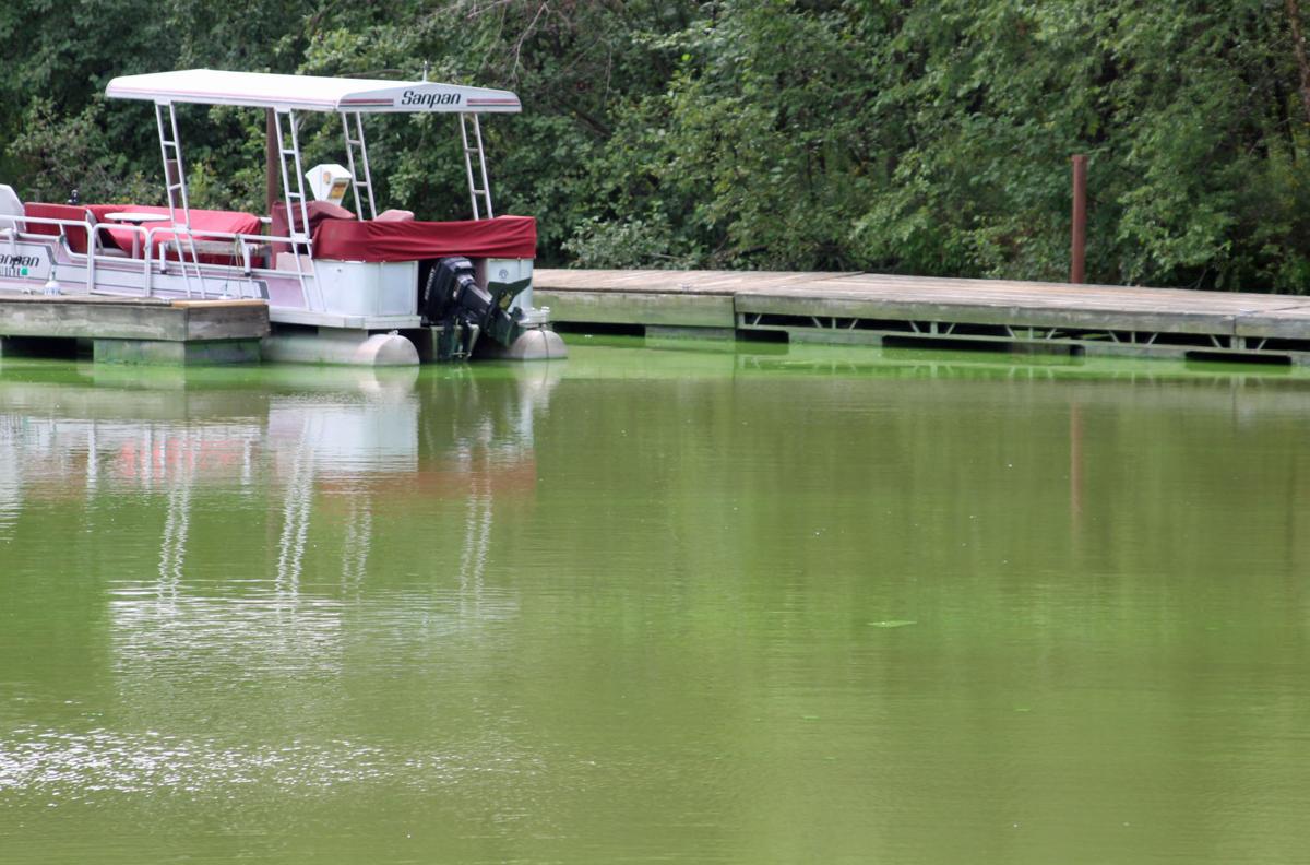 Green water in area lakes