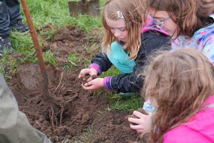 MMSD Marks Earth Day With Sustainability Milestones Across Energy, Waste, Transportation and More