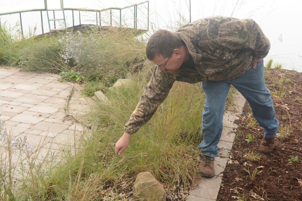 Conservation shoreland