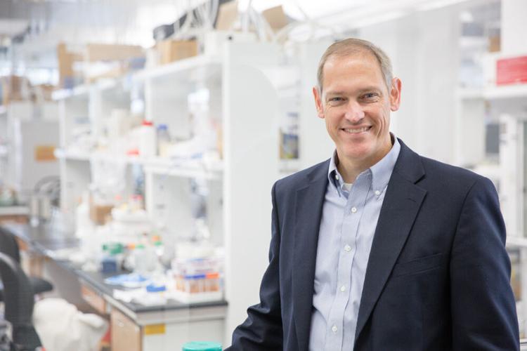 4 UW scholars honored with Vilas Research Professorships