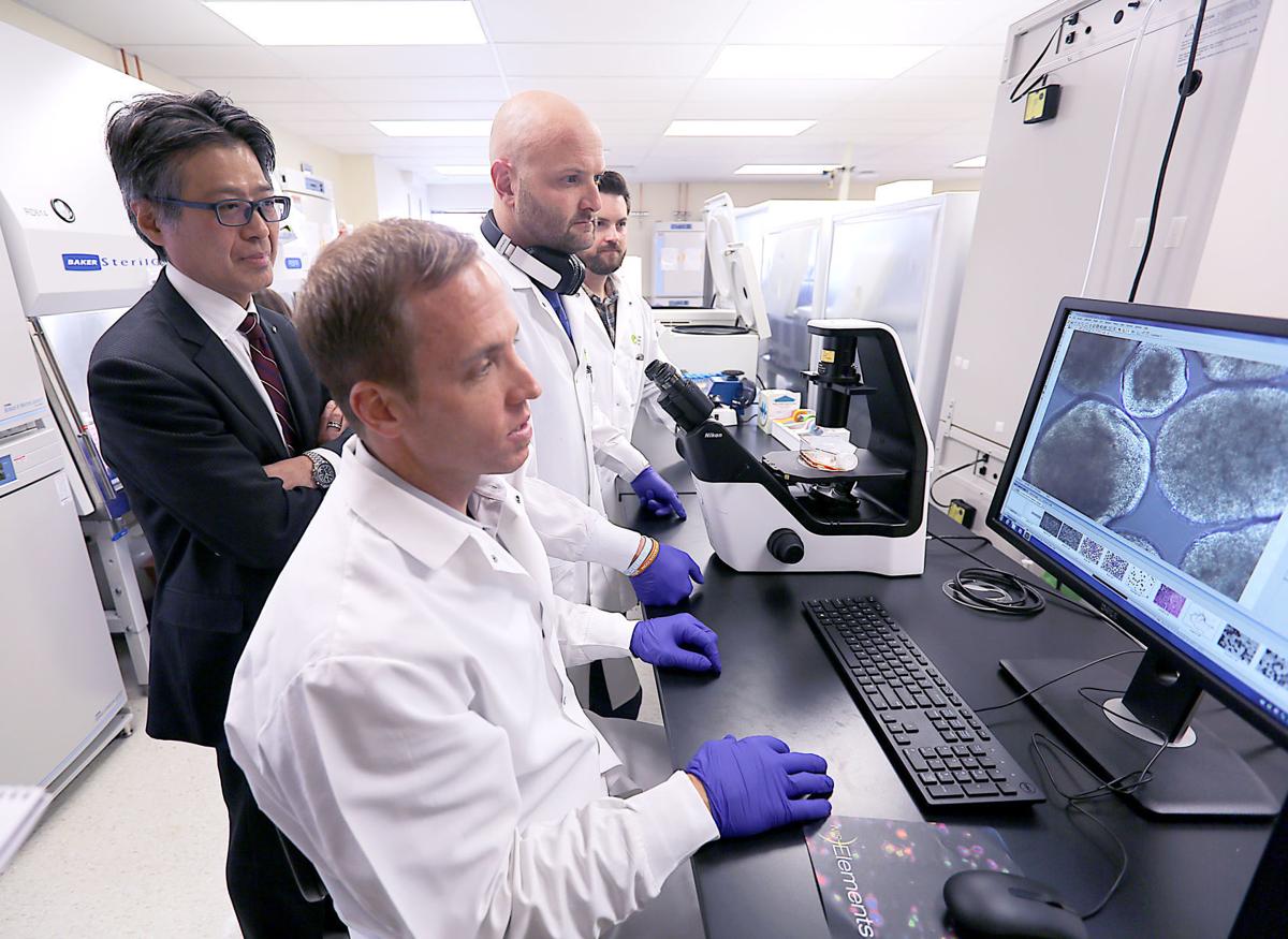 CDI workers with cells on computer screen