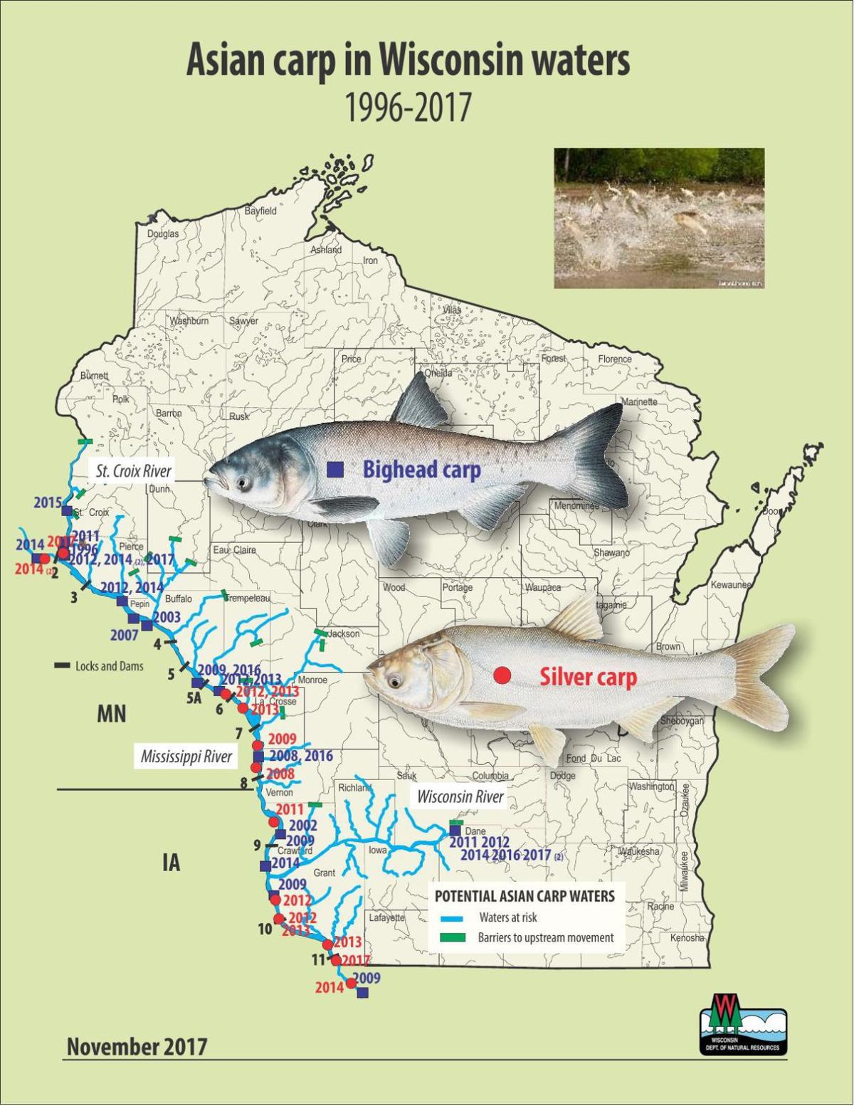 Where Asian Carp Have Been Found In Wisconsin Madison Com