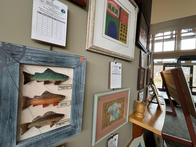 Election 2024 Madison, Dane County WI live updates