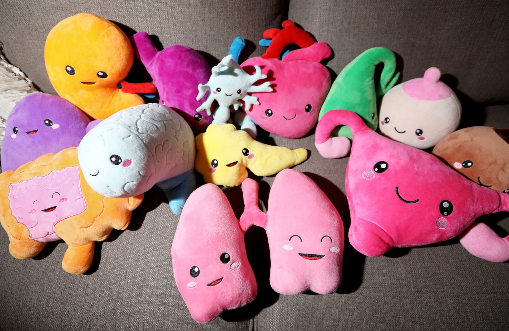 organ stuffed animals