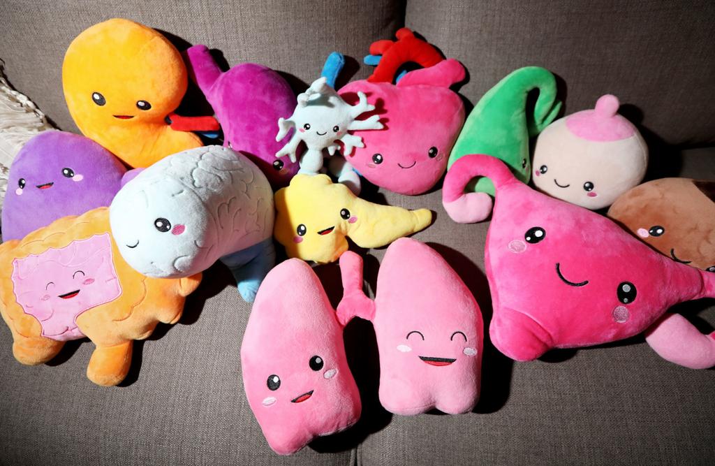 Wallpaper Plush Toys Designed After Organs Launch Madison Doctor S Small For iPhone Free