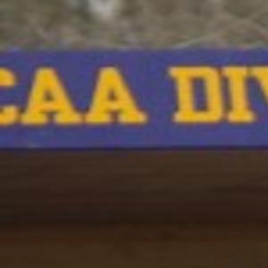 Ncaa Division Iii Baseball Portage Connection Working For Uw Stevens Point Local And Area Sports Madison Com