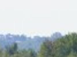 Anglers Hooked On Lake Sturgeon Outdoors Madison Com