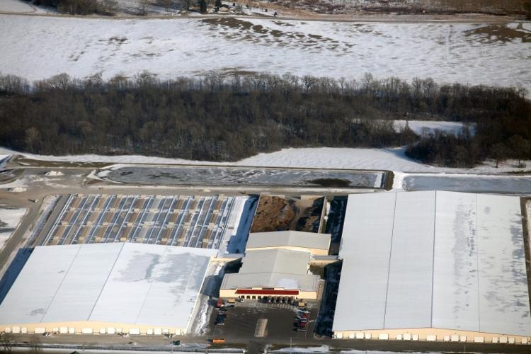 factory farm (Day 1) No. 2