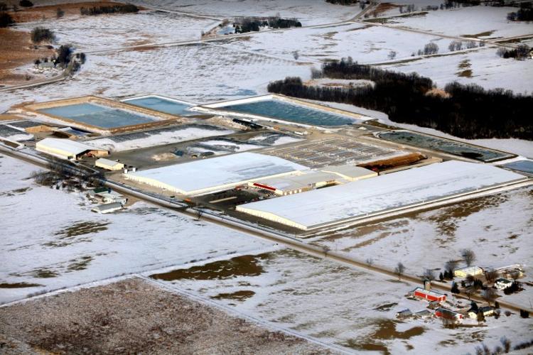 Photo: Aerial view of the Rosendale Dairy