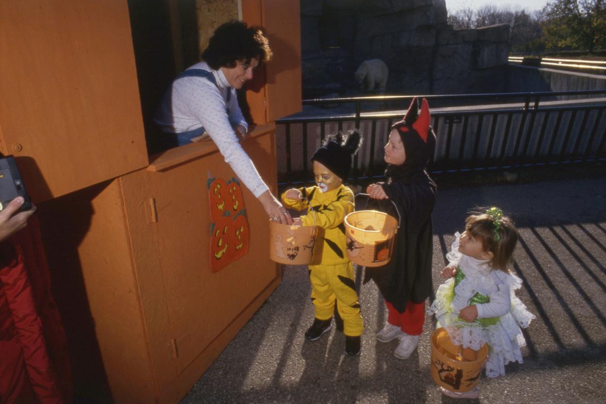 Where To Watch Halloween Madison Wi 2020