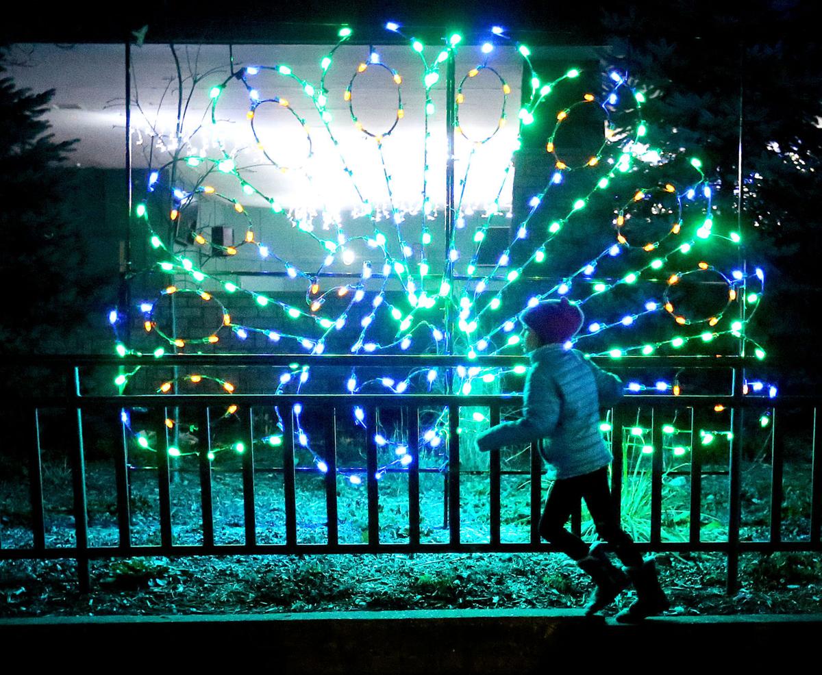 10+ Madison Zoo Lights
