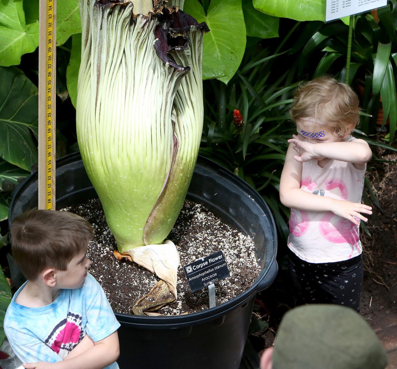 OLBRICH Uploaded Photos